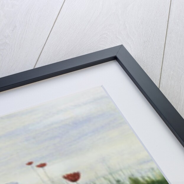 Poppies, Daisies and other Flowers by the Sea by Andrew Nicholl