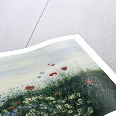 Poppies, Daisies and other Flowers by the Sea by Andrew Nicholl