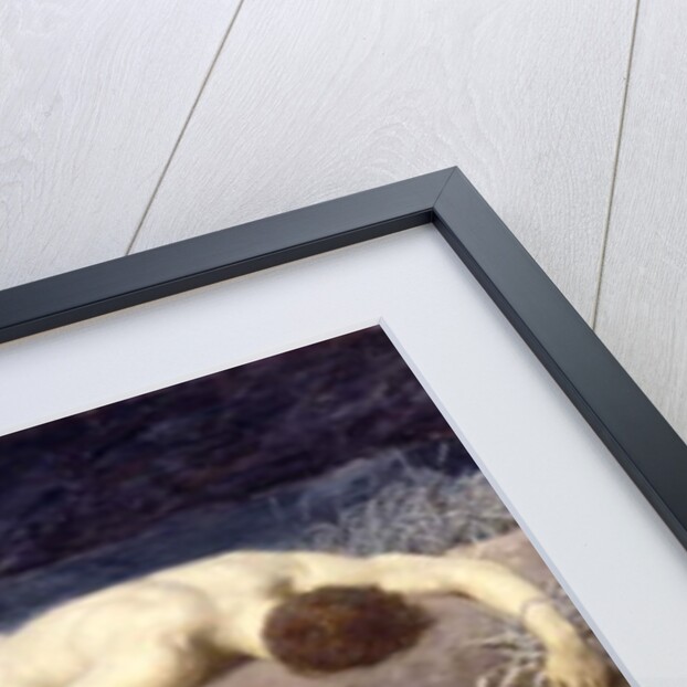 Dead Hector, 1892 by Briton Riviere