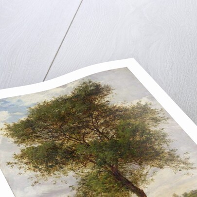 Study of an Ash Tree in Summer, 1883 by James Hey Davies