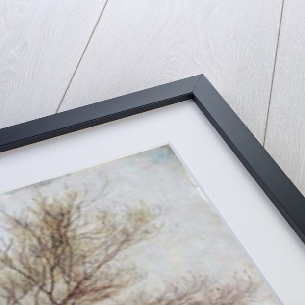 Study of an Ash Tree in Winter, 1883 by James Hey Davies