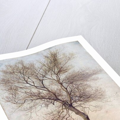 Study of an Ash Tree in Winter, 1883 by James Hey Davies
