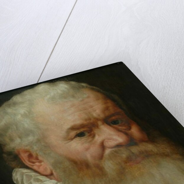 Portrait of Hubert Languet, 1580 by Frans I Pourbus