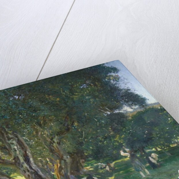 Albanian Olive Gatherers, 1909 by John Singer Sargent