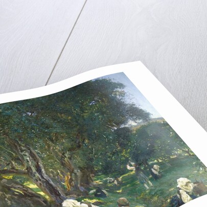 Albanian Olive Gatherers, 1909 by John Singer Sargent