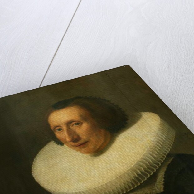 Portrait of a Lady, Aged 58, 1636 by Michiel Jansz. van Miereveld