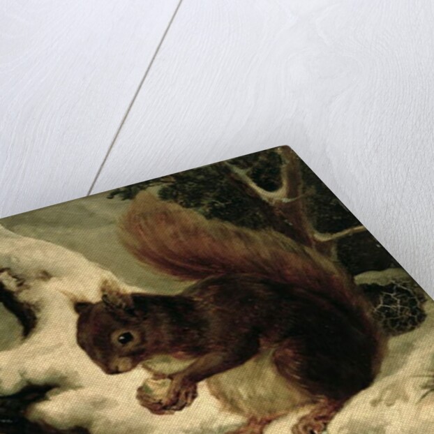 A Red Squirrel Eating a Nut by Basil Bradley