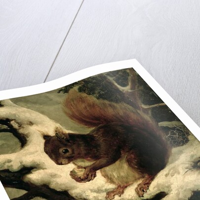 A Red Squirrel Eating a Nut by Basil Bradley