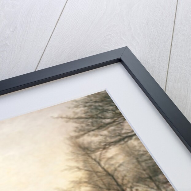 Glen Birnam, 1891 by John Everett Millais