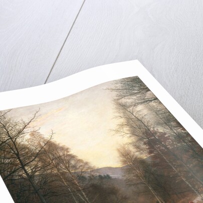 Glen Birnam, 1891 by John Everett Millais