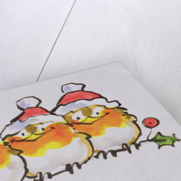 Christmas Robins by Diane Matthes