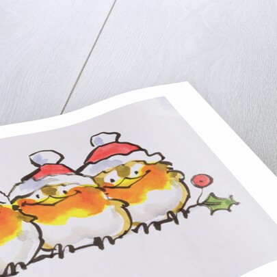 Christmas Robins by Diane Matthes