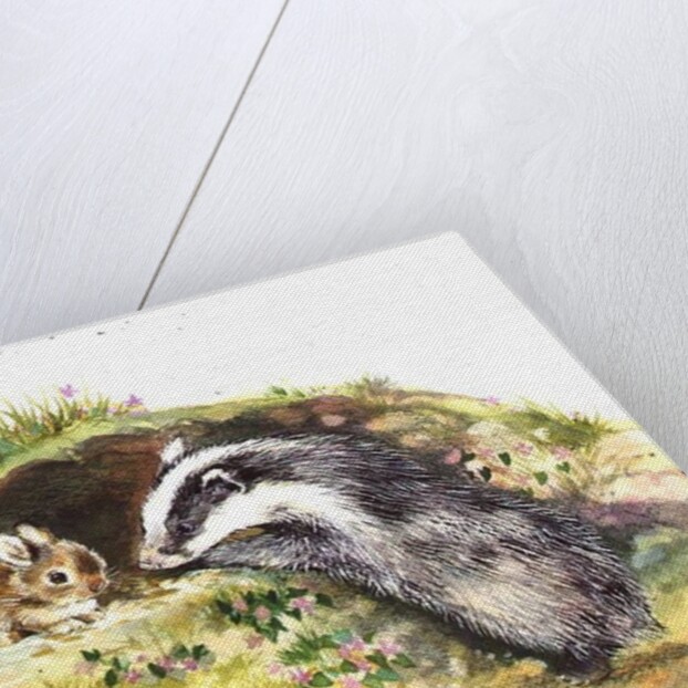 Badger and a Rabbit by Diane Matthes
