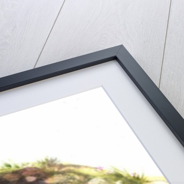 Badger and a Rabbit by Diane Matthes