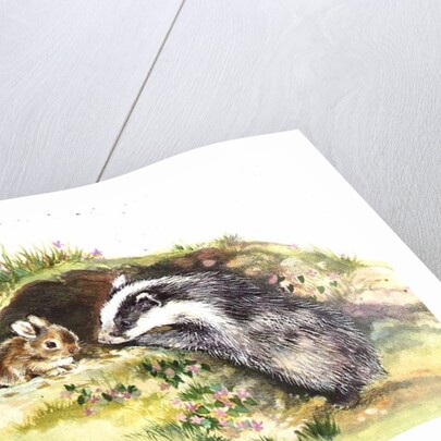 Badger and a Rabbit by Diane Matthes
