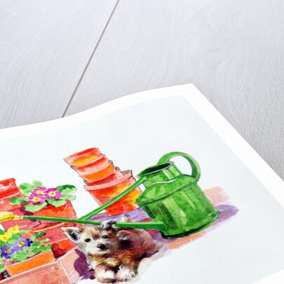 Terrier amongst Terracotta Pots by Diane Matthes