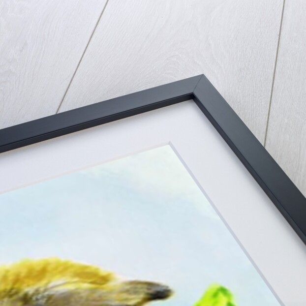 Easter bunny with primrose and chick by Diane Matthes