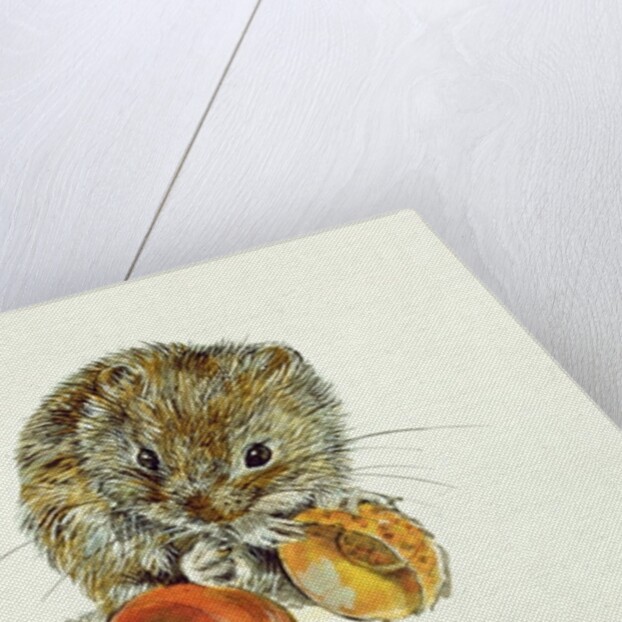 Vole with an Acorn by Diane Matthes