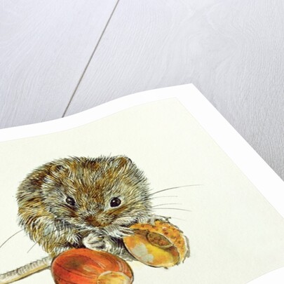 Vole with an Acorn by Diane Matthes