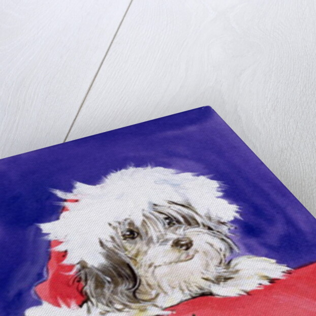 The Christmas Pudding by Diane Matthes