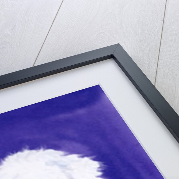 The Christmas Pudding by Diane Matthes