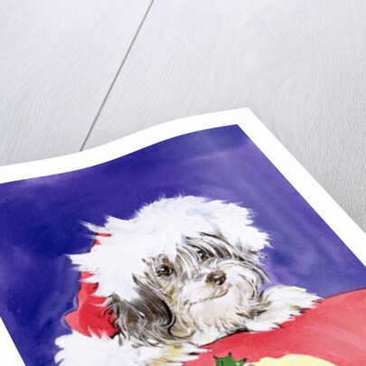 The Christmas Pudding by Diane Matthes