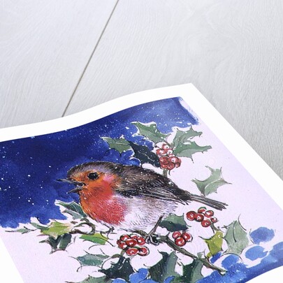 Robin Red-breast, 1996 by Diane Matthes