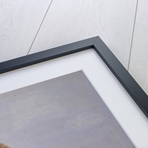 A Pastoral Landscape, 1980 by Mark Baring