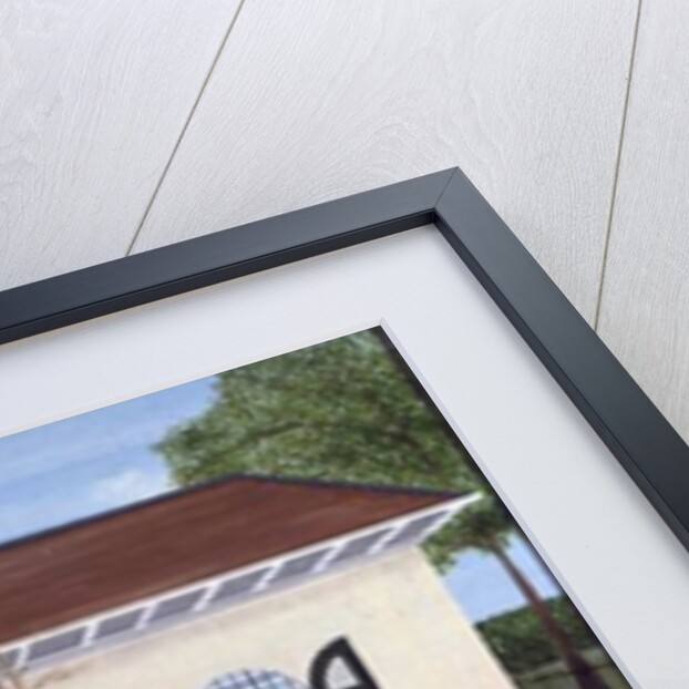 The Giraffe House by Mark Baring