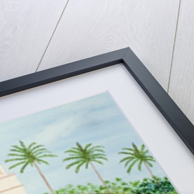 The Elephant House, 1984 by Mark Baring