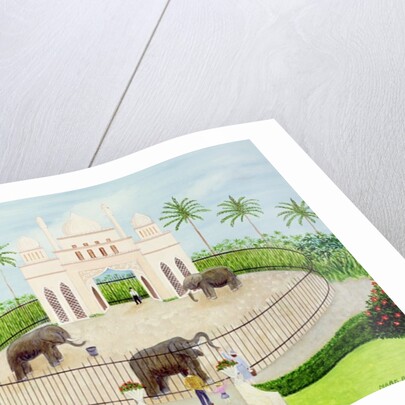 The Elephant House, 1984 by Mark Baring