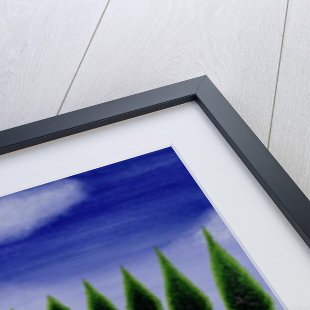 Temple of the Four Winds by Mark Baring