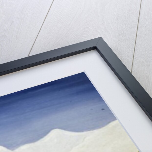 Skaters by Mark Baring