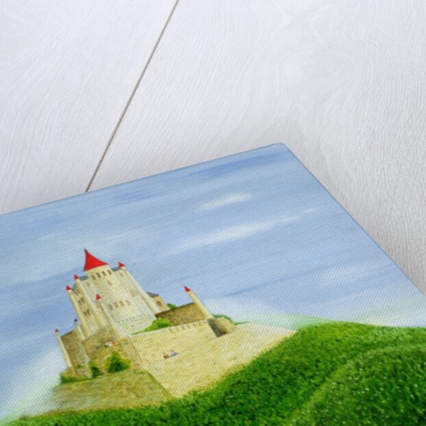 The Castle by Mark Baring