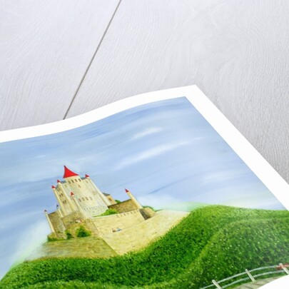 The Castle by Mark Baring