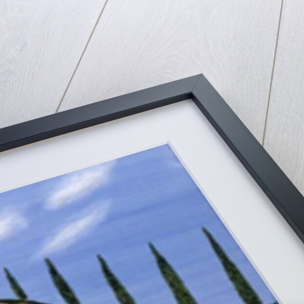 Moorish Fantasy, 1994 by Mark Baring