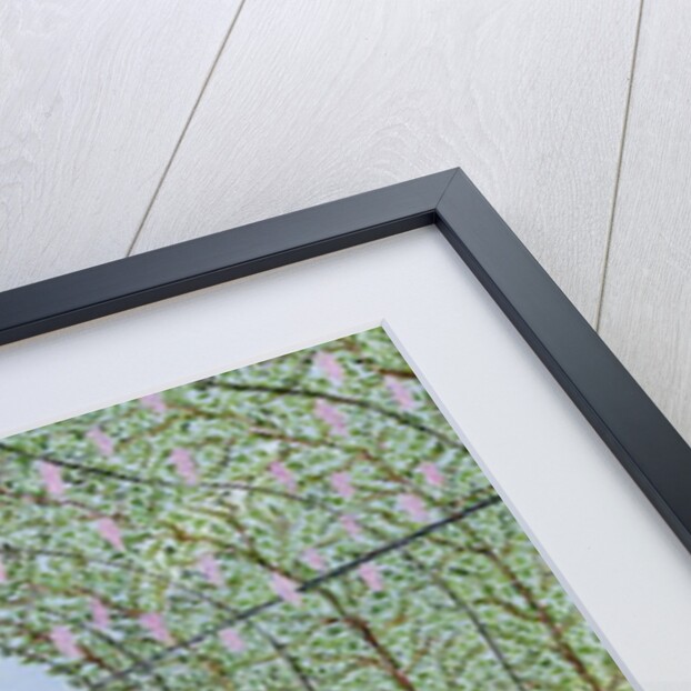 Lilac Arbour by Mark Baring