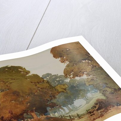 Gum trees by William Blamire Young