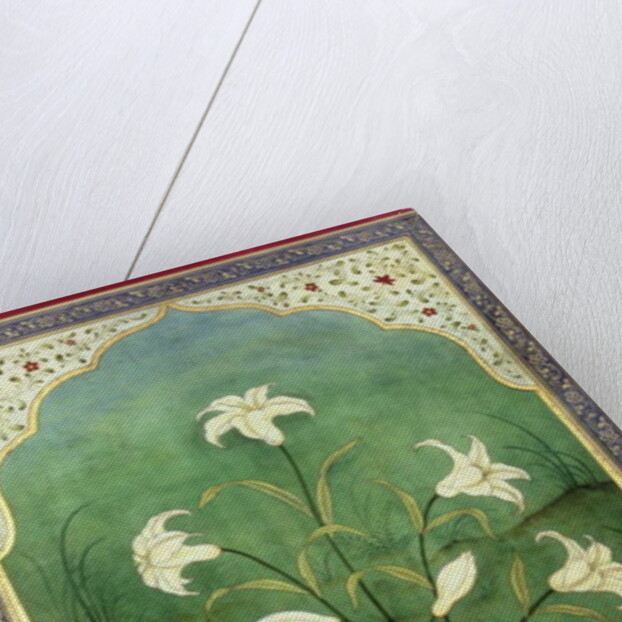 White Lilies by Mark Briscoe