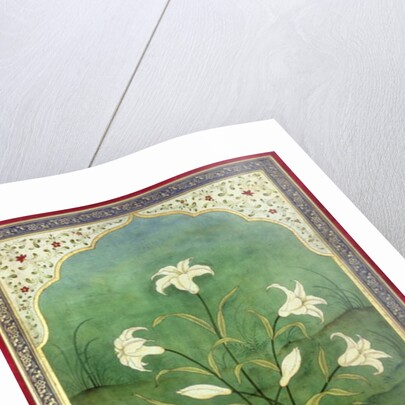 White Lilies by Mark Briscoe