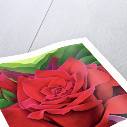 The Rose, 2003 by Myung-Bo Sim