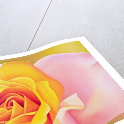 The Rose, 2002 by Myung-Bo Sim