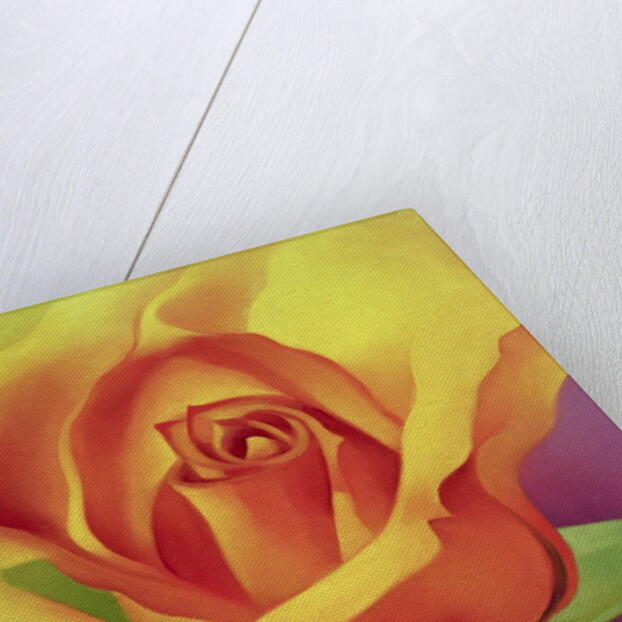 The Rose, 2000 by Myung-Bo Sim