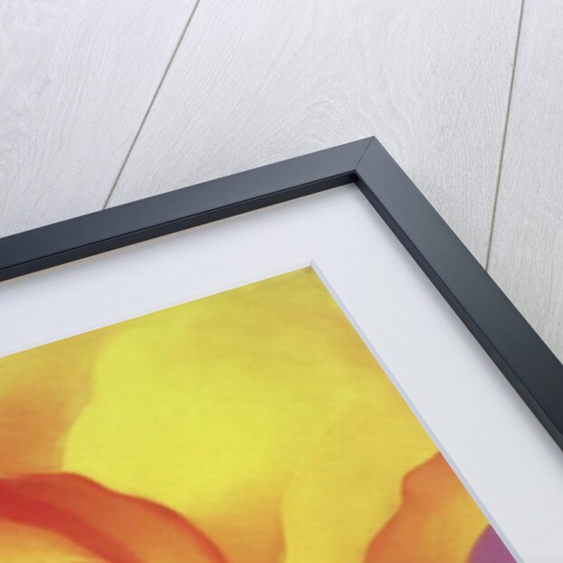 The Rose, 2000 by Myung-Bo Sim