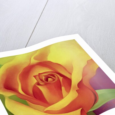 The Rose, 2000 by Myung-Bo Sim