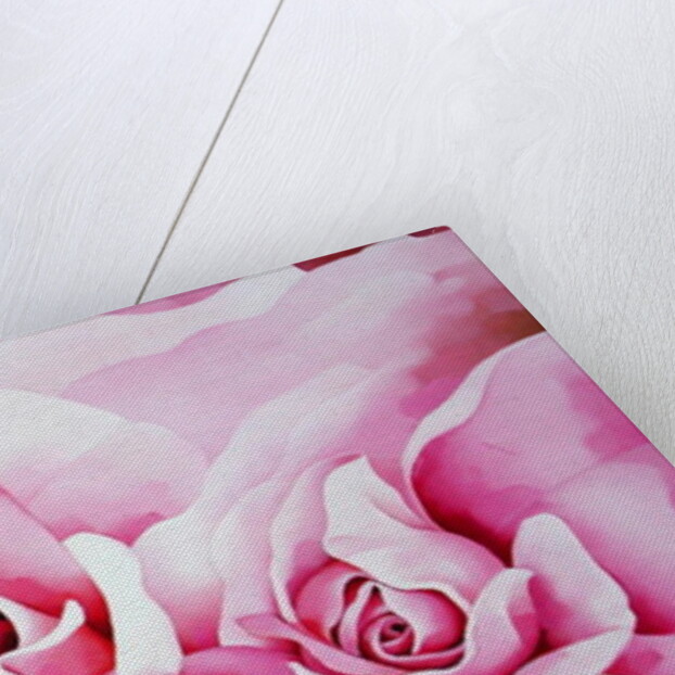 The Roses, 2003 by Myung-Bo Sim