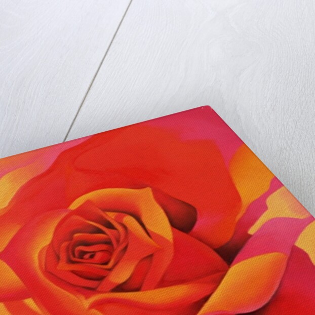 A Rose - Transformation into the Sun, 2001 by Myung-Bo Sim