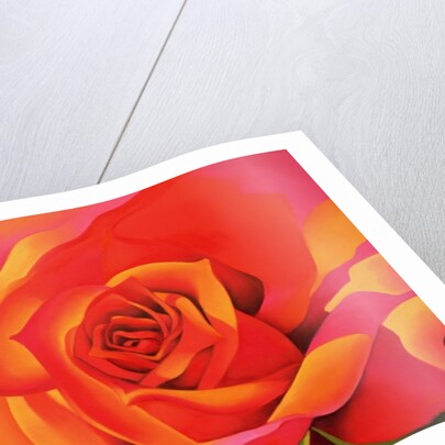 A Rose - Transformation into the Sun, 2001 by Myung-Bo Sim