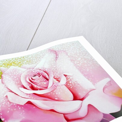 The Rose, 2001 by Myung-Bo Sim