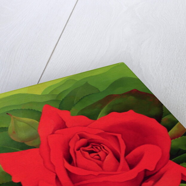 The Rose, 2003 by Myung-Bo Sim